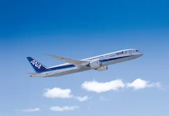 All Nippon Airways aircraft flying