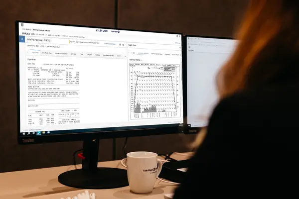 Lido mBriefing_screen_productsolution