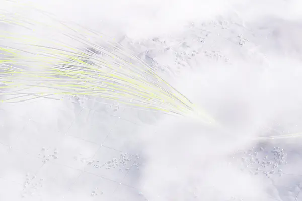Ambiance Bild der Lufthansa Systems-Tochter zeroG