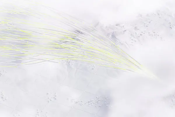 Ambience image of Lufthansa Systems subsidiary zeroG