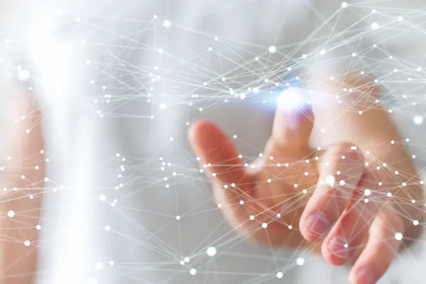 Network touched by hand