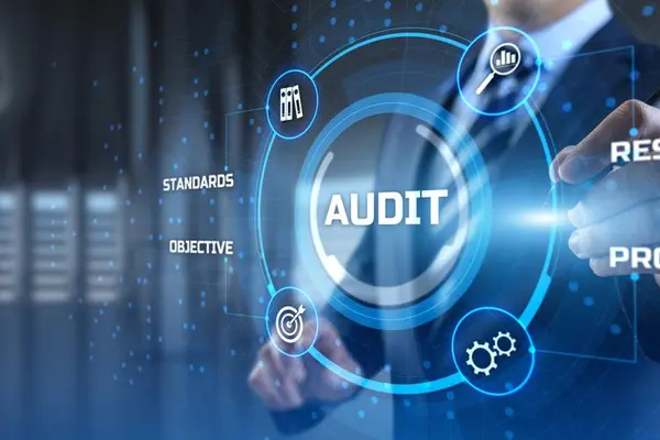 Digital visualization of an audit and review process focusing on standards, analysis, and processes