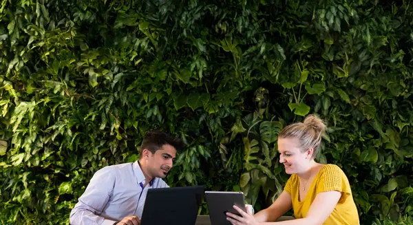 Two people collaborating on laptops in front of a large green plant wall