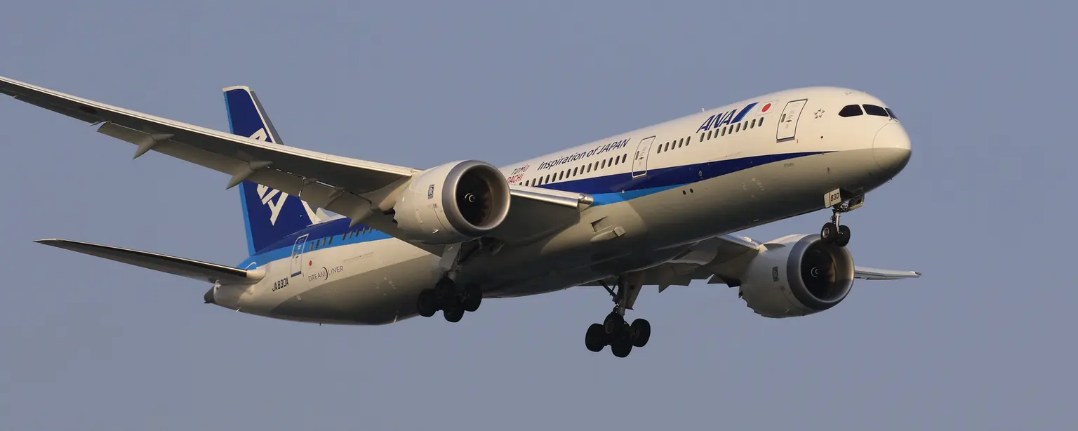 ANA plane flying in the air