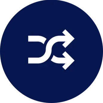 2024_icon_player_shuffle