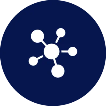 2024_icon_network_A
